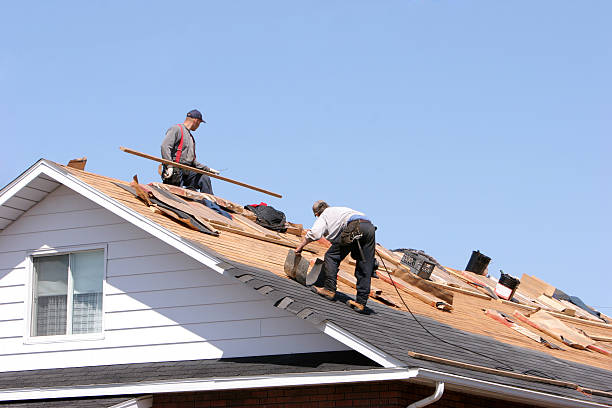 Best Sheet Metal Roofing  in Unicoi, TN